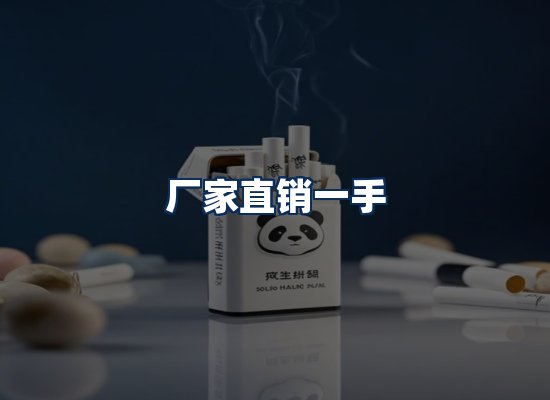 专业团队办公环境